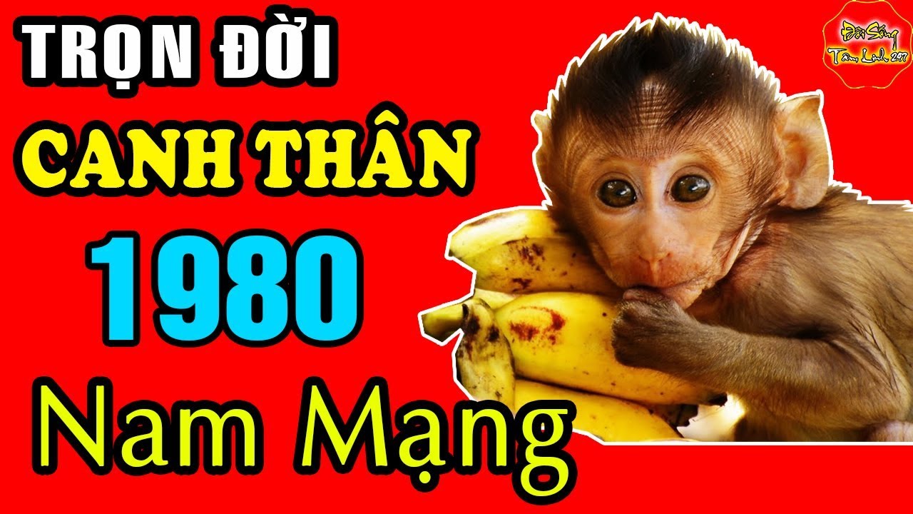 Tử Vi Trọn Đời Tuổi Canh Thân 1980 Nam Mạng